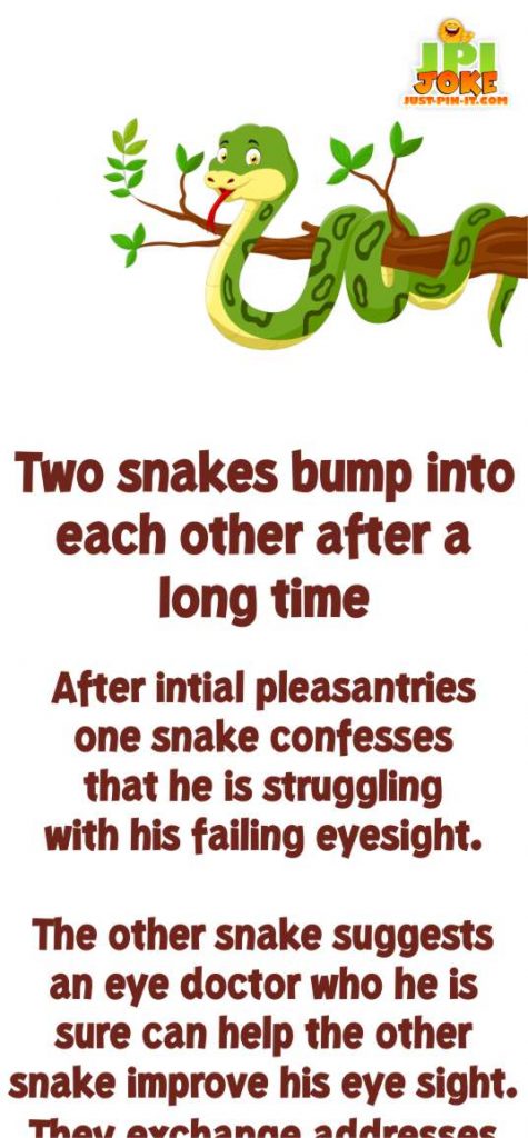 Funny Jokes - Two Snakes Bump into Each other - Just-Pin-It