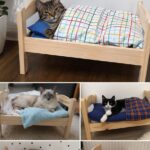 The Viral DUKTIG Pet Bed Trend Everyone Loves (30 Pics)