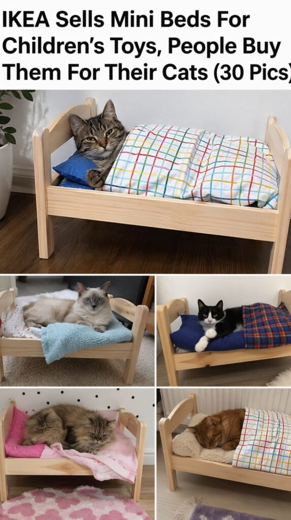 The Viral DUKTIG Pet Bed Trend Everyone Loves (30 Pics)